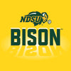 Women's NDSU Bison Premium Tri-Blend Tee Shirt - Spotlight Bison