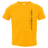 Iowa Hawkeyes Toddler Tee Shirt - Vert University of Iowa Hawkeyes
