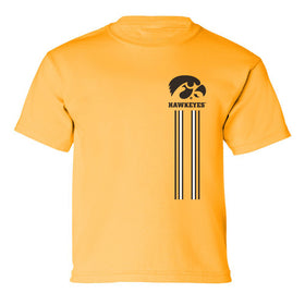 Iowa Hawkeyes Boys Tee Shirt - IOWA Hawkeyes Vertical Stripe with Tigerhawk