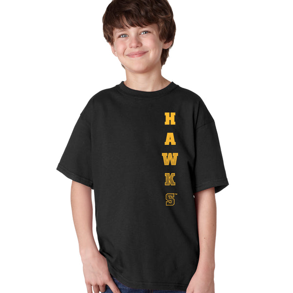 Iowa Hawkeyes Boys Tee Shirt - Vertical Hawks Fade