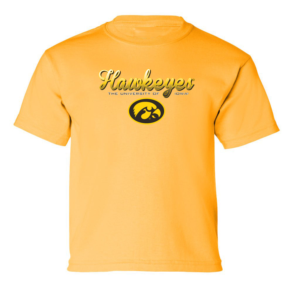 Iowa Hawkeyes Boys Tee Shirt - Script Hawkeyes Full Color Fade Oval Tigerhawk