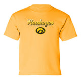Iowa Hawkeyes Boys Tee Shirt - Script Hawkeyes Full Color Fade Oval Tigerhawk