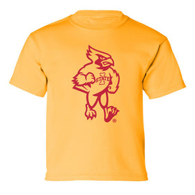 Iowa State Cyclones Boys Tee Shirt - Mascot Cy Full Body