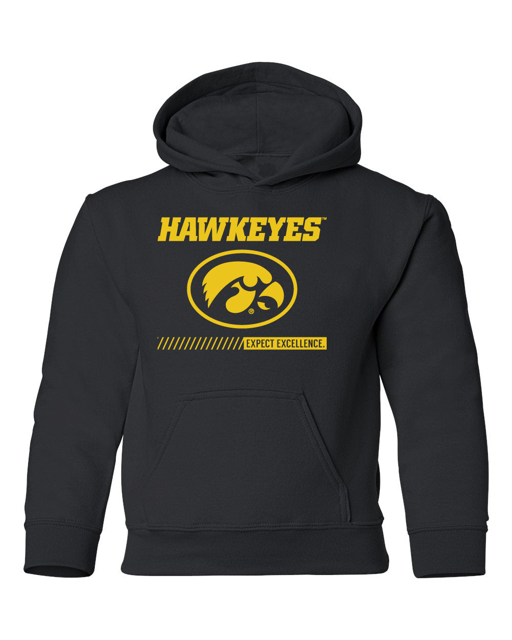 Iowa Hawkeyes Youth Hooded Sweatshirt - Hawkeyes with Oval Tigerhawk - Expect Excellence
