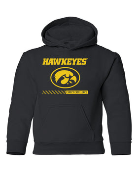 Iowa Hawkeyes Youth Hooded Sweatshirt - Hawkeyes with Oval Tigerhawk - Expect Excellence