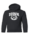 Iowa Hawkeyes Youth Hooded Sweatshirt - Arched IOWA with Tigerhawk Oval