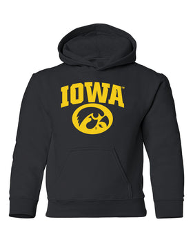Iowa Hawkeyes Youth Hooded Sweatshirt - Arched IOWA with Tigerhawk Oval
