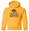 Iowa Hawkeyes Youth Hooded Sweatshirt - Iowa Hawkeyes Wrestling