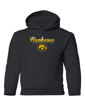 Iowa Hawkeyes Youth Hooded Sweatshirt - Script Hawkeyes Full Color Fade Oval Tigerhawk