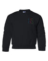 Nebraska Rainbow Outline N Youth Crewneck Sweatshirt