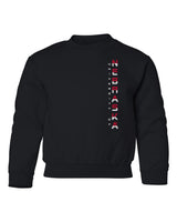 Nebraska Huskers Youth Crewneck Sweatshirt - Striped Vertical University of Nebraska