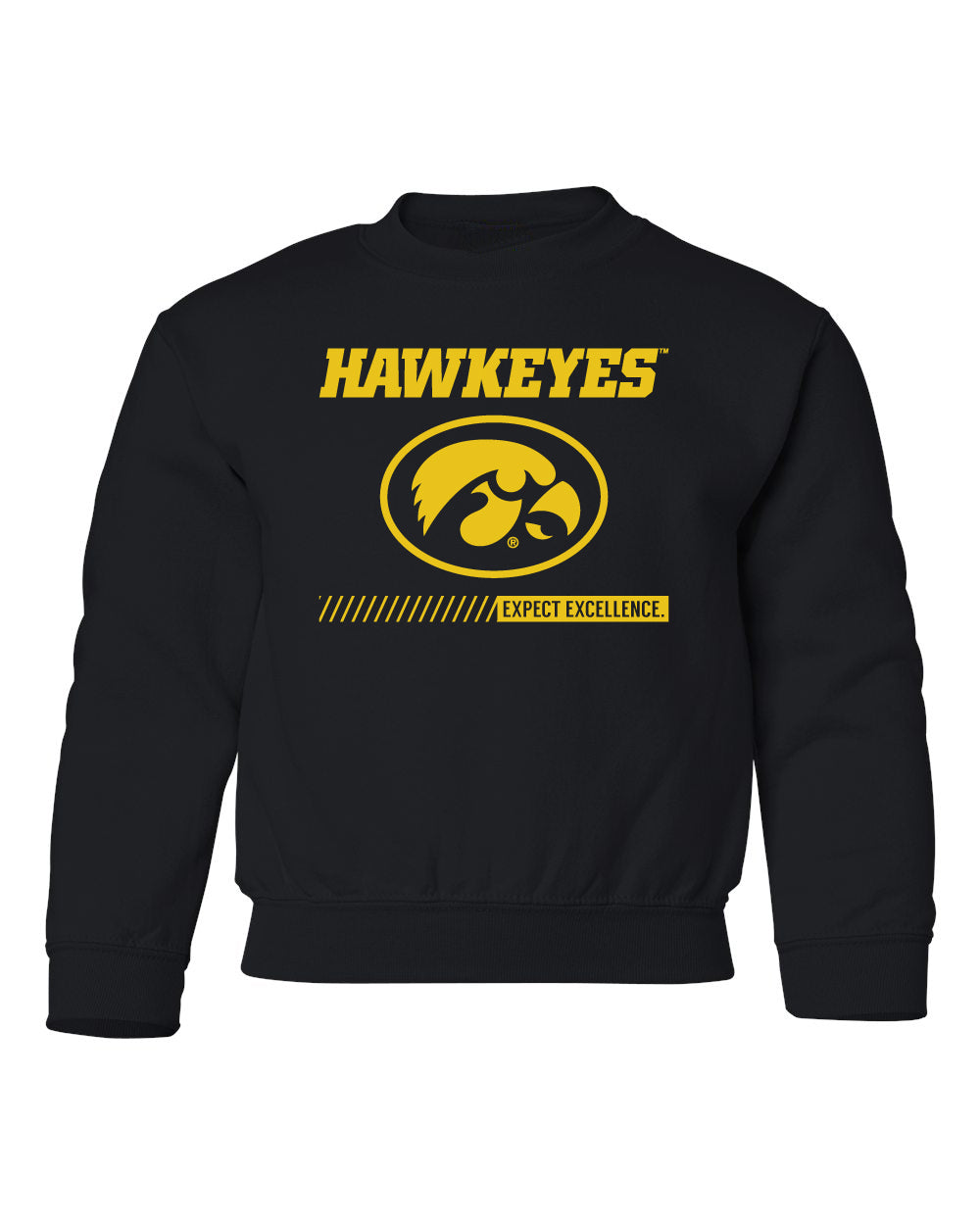 Iowa Hawkeyes Youth Crewneck Sweatshirt - Hawkeyes with Oval Tigerhawk - Expect Excellence