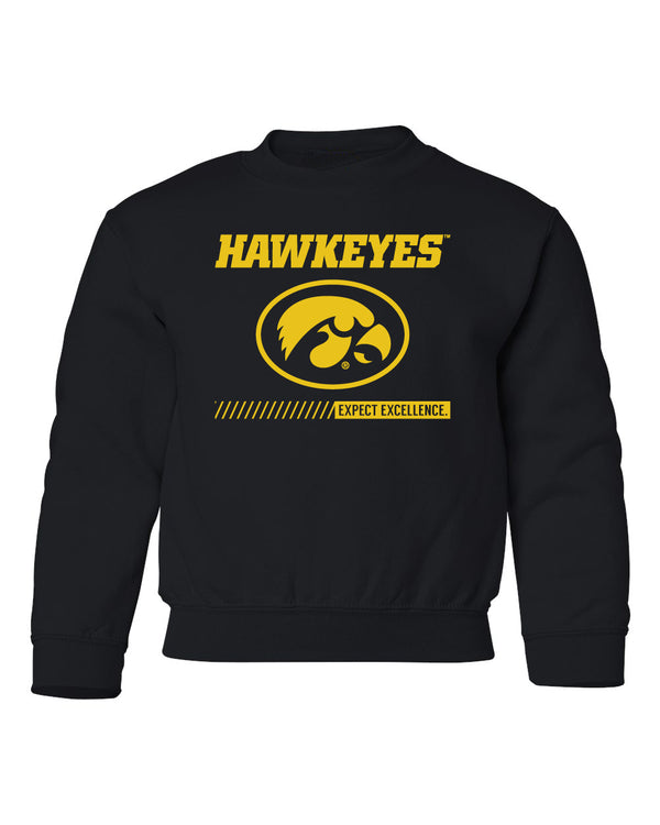 Iowa Hawkeyes Youth Crewneck Sweatshirt - Hawkeyes with Oval Tigerhawk - Expect Excellence