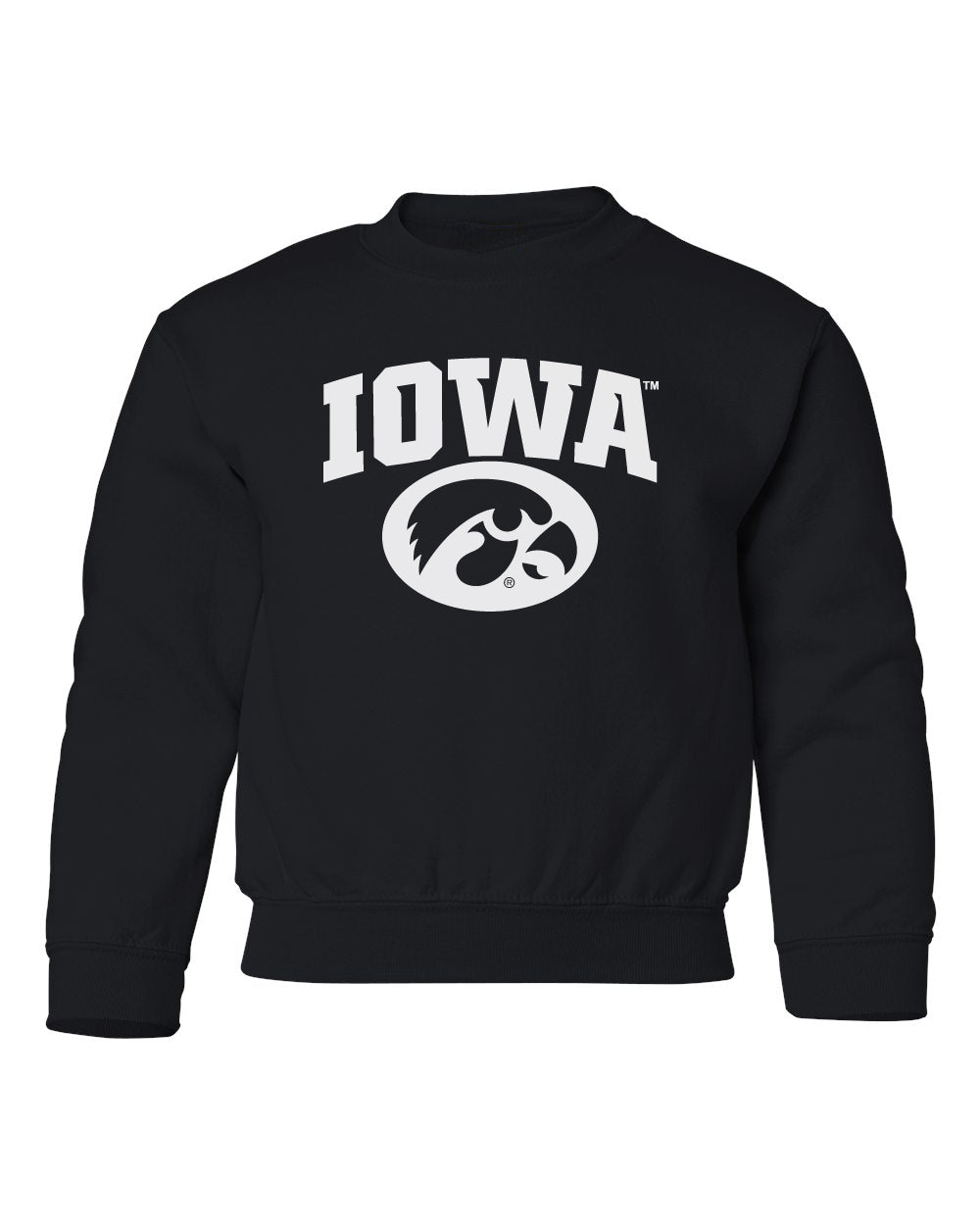 Iowa Hawkeyes Youth Crewneck Sweatshirt - Arched IOWA with Tigerhawk Oval