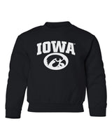 Iowa Hawkeyes Youth Crewneck Sweatshirt - Arched IOWA with Tigerhawk Oval