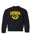 Iowa Hawkeyes Youth Crewneck Sweatshirt - Arched IOWA with Tigerhawk Oval