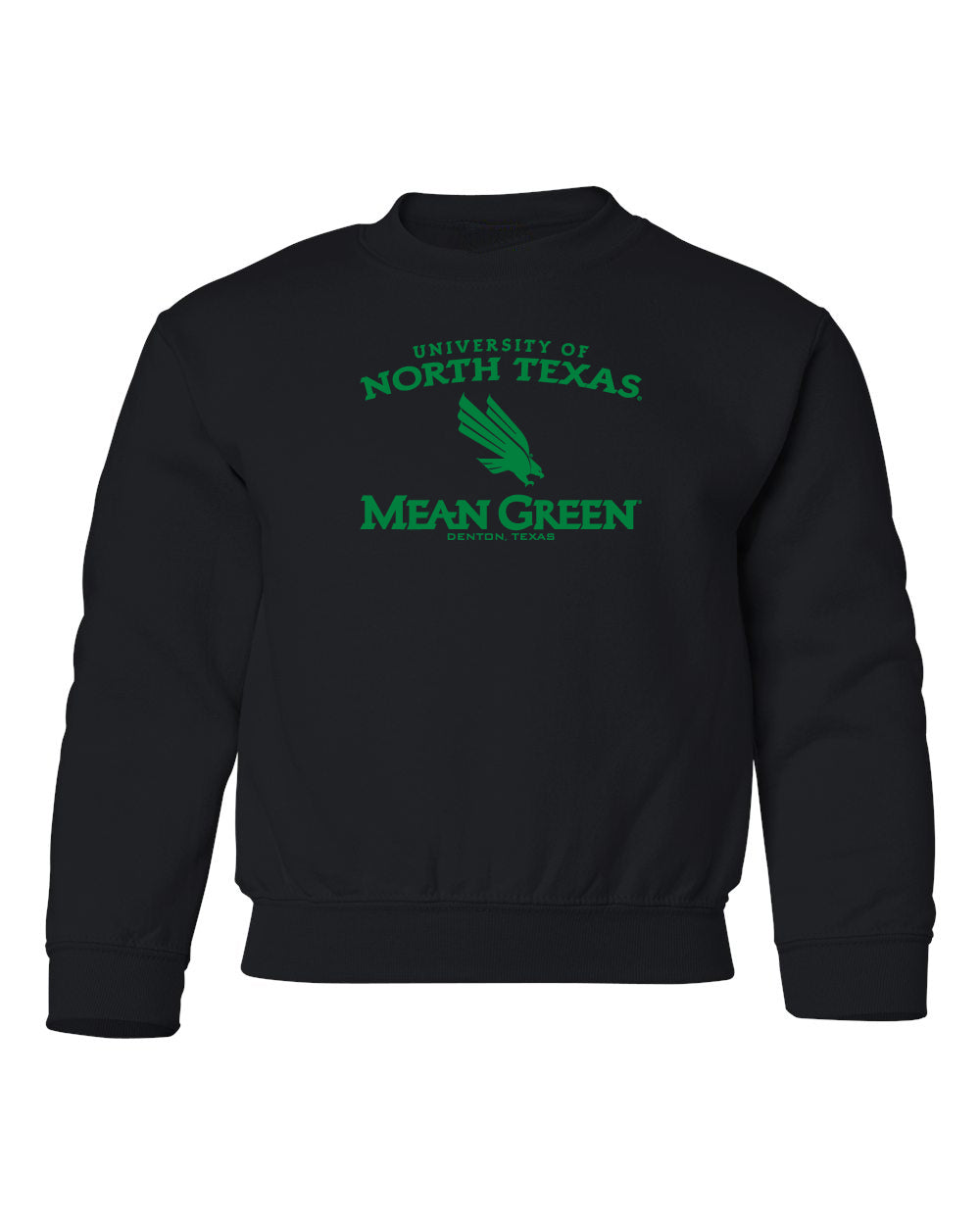 North Texas Mean Green Youth Crewneck Sweatshirt - North Texas Arch Primary Logo