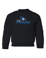 Creighton Bluejays Youth Crewneck Sweatshirt - Script Bluejays Full Color Fade