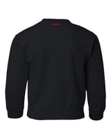 Nebraska Cornhuskers "Nebraska N GO BIG RED" Youth Crewneck Sweatshirt