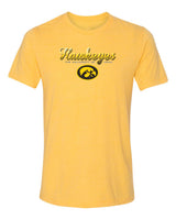 Women's Iowa Hawkeyes Premium Tri-Blend Tee Shirt - Script Hawkeyes Full Color Fade Oval Tigerhawk