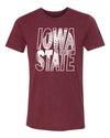 Women's Iowa State Cyclones Premium Tri-Blend Tee Shirt - Iowa State Football Image
