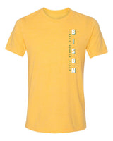Women's NDSU Bison Premium Tri-Blend Tee Shirt - Vert North Dakota State BISON