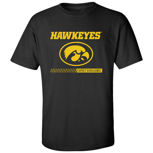 Iowa Hawkeyes Tee Shirt - Hawkeyes with Oval Tigerhawk - Expect Excellence