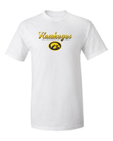 Iowa Hawkeyes Tee Shirt - Script Hawkeyes Full Color Fade Oval Tigerhawk