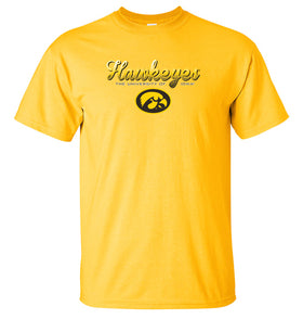 Iowa Hawkeyes Tee Shirt - Script Hawkeyes Full Color Fade Oval Tigerhawk