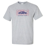 Florida Atlantic Owls Tee Shirt - FAU Owls Background