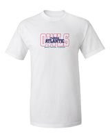 Florida Atlantic Owls Tee Shirt - FAU Owls Background
