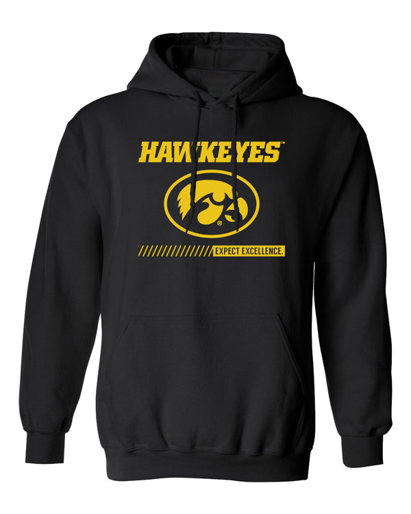 Iowa Hawkeyes Hooded Sweatshirt - Hawkeyes with Oval Tigerhawk - Expect Excellence