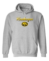 Iowa Hawkeyes Hooded Sweatshirt - Script Hawkeyes Full Color Fade Oval Tigerhawk