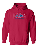 Florida Atlantic Owls Hooded Sweatshirt - FAU Owls Background