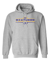 Northern Iowa Panthers Hooded Sweatshirt - Striped UNI Panthers Football Laces