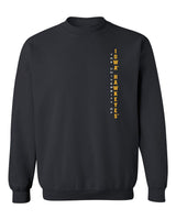 Iowa Hawkeyes Crewneck Sweatshirt - Vertical U of I Hawkeyes