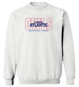 Florida Atlantic Owls Crewneck Sweatshirt - FAU Owls Background