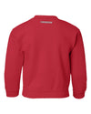 Nebraska Husker Youth Crewneck Sweatshirt - Star N GO BIG RED