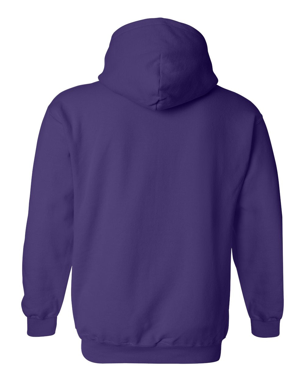 Northern Iowa Panthers Hooded Sweatshirt - UNI Football Helmet