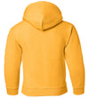 Iowa Youth Hooded Sweatshirt - Iowa Hawkeye State Outline